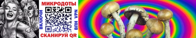 Галлюциногенные грибы Cubensis  MEGA tor  Кировград  купить закладку 