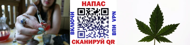 что такое   Кировград  Шишки марихуана конопля 